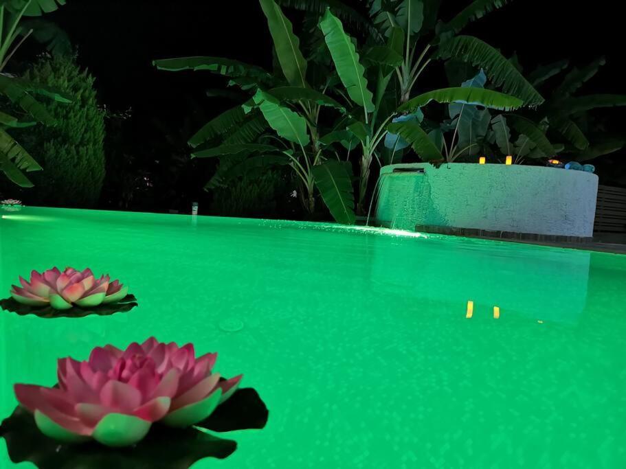 Valantas Garden Suite ラルドス エクステリア 写真